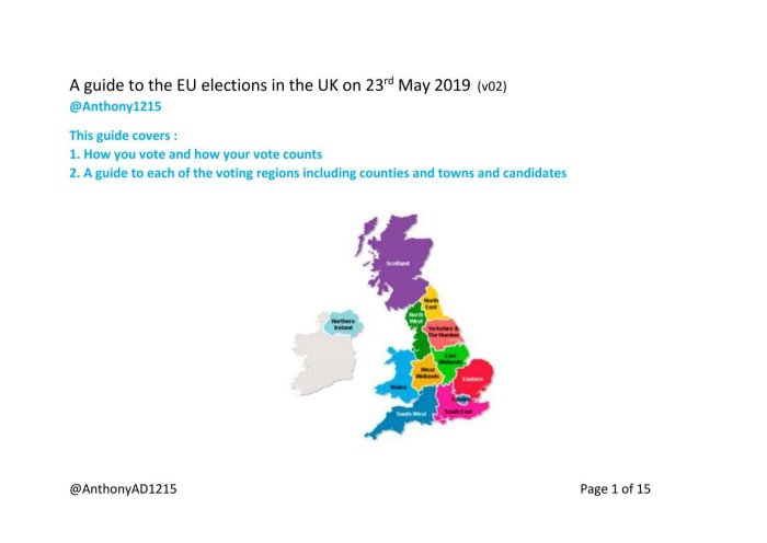 Eu election security guidance for vlops