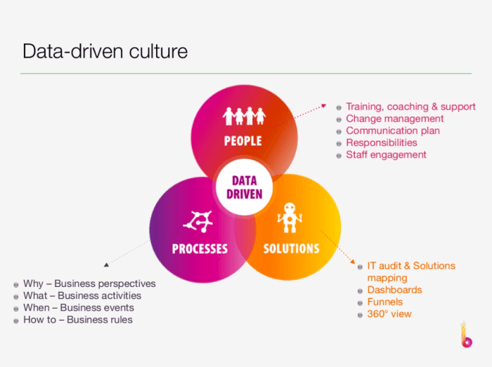 How to build a robust and adaptive data culture that instills investor confidence