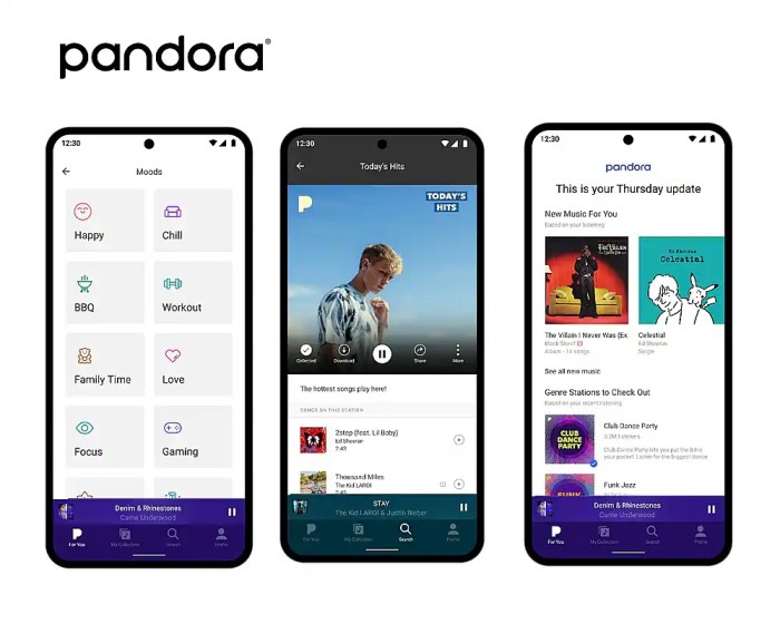 Pandoras 5 subscription service called pandora plus is here