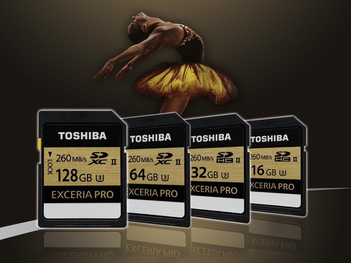 Toshiba targets action photographers with new microsd cards