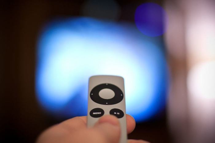 Apples web tv service could include viaocom and discovery