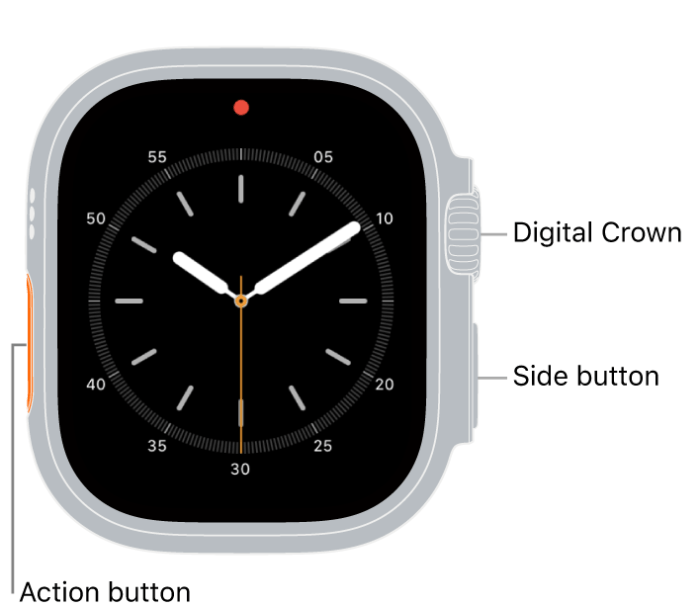 Apple watch digital crown water