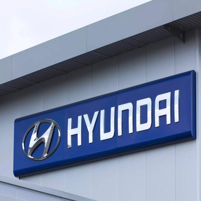 Hyundai motor india data exposed