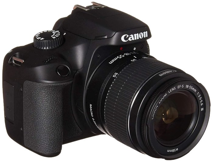 Canons compact camera with large sensor possibly leaked in photo