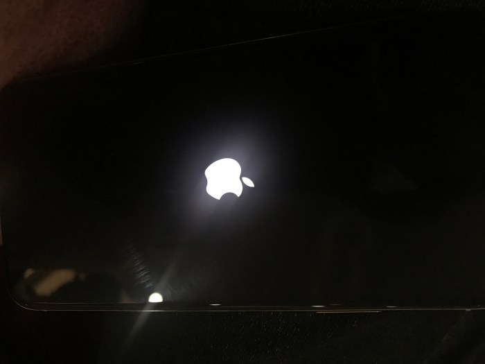 Iphone x unresponsive in cold weather