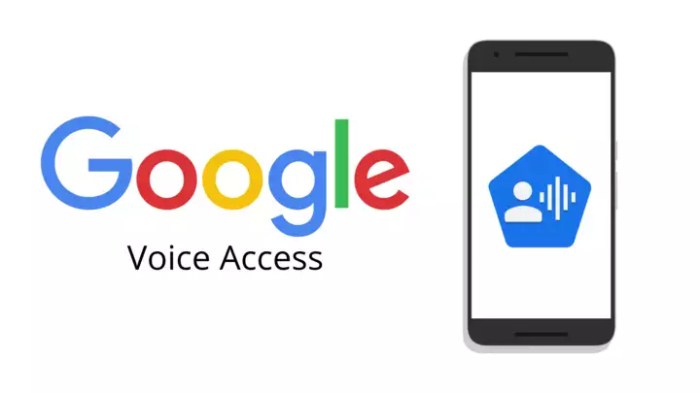 Google io voice access