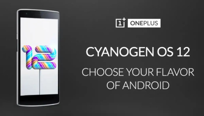 One plus india cyanogen updates