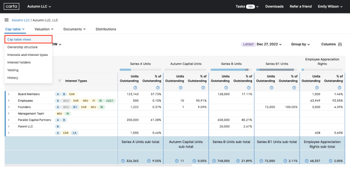 Korean startup carta cap table management