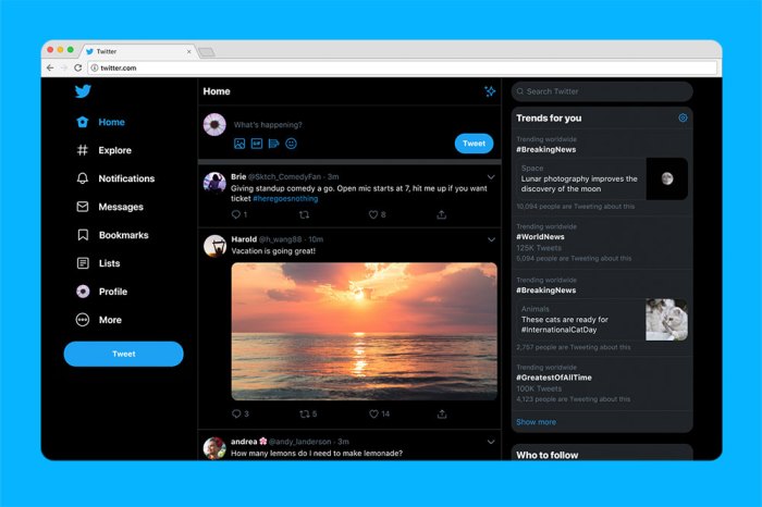 Twitter testing a browser in its app