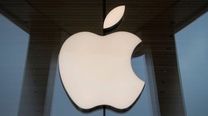 Us lawmakers question apple iphone