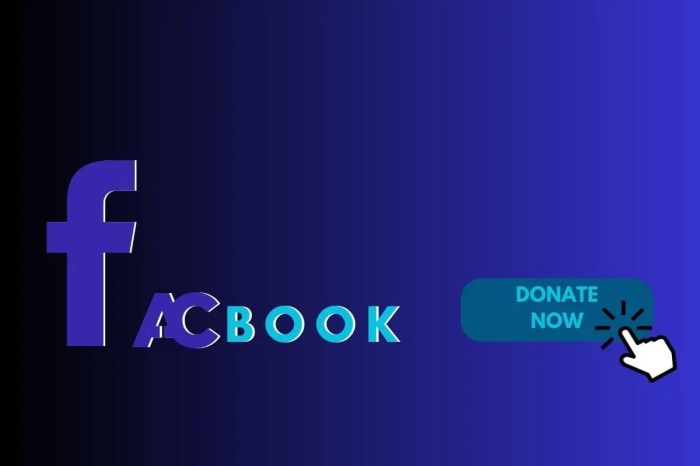 Facebook unveils donate now button