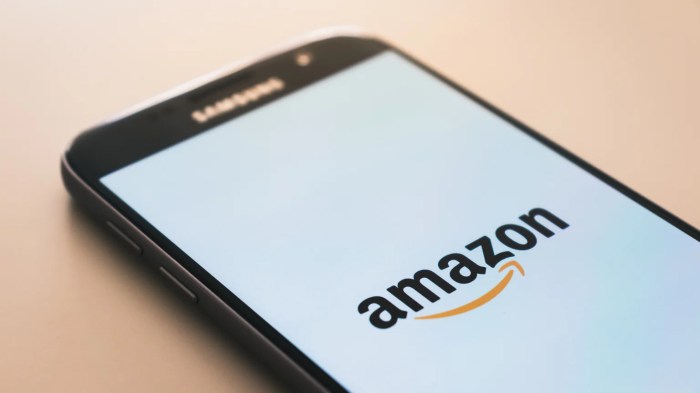 Amazon offering 20 gift cards and shipping refunds to miss christmas deliveries