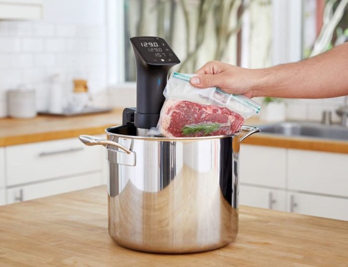 Mellow smart sous vide device