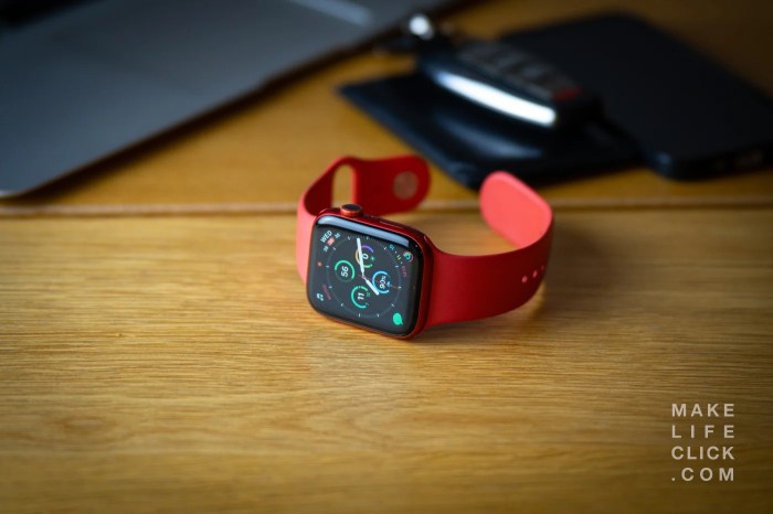 Apple takes the lead wearables market