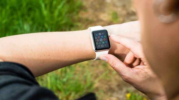 Apple watch battery found to have 1000 charge cycles