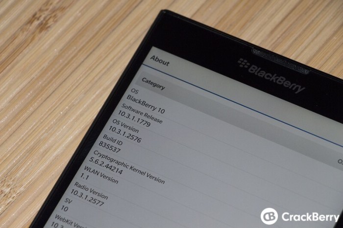 Microsoft onedrive for blackberry 10 arrives