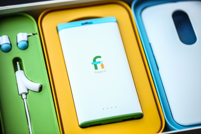 Project fi getting group plans