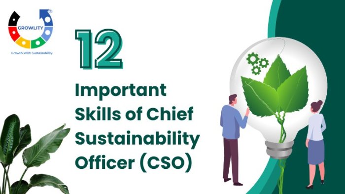 Saps chief sustainability officer isnt interested in getting your company to do the right thing