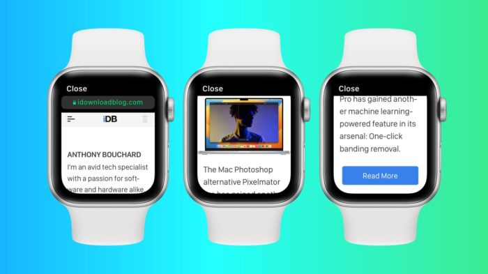 Apple watch web browser demonstrated by developer