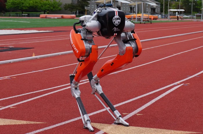 Atrias bipedal robot wants to be worlds fastest