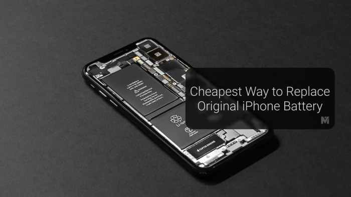 Ifixit iphone battery replacement cheaper