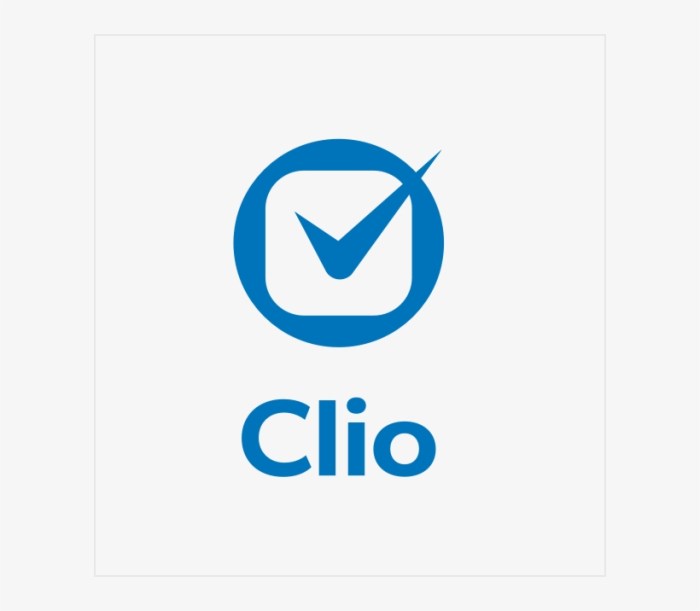 Clio raises 900m at a 3b valuation plans to double down on ai and fintech