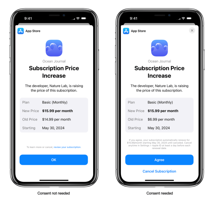 Apple introductory subscription app store