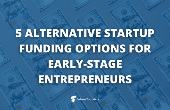 The best funding options for late stage startups