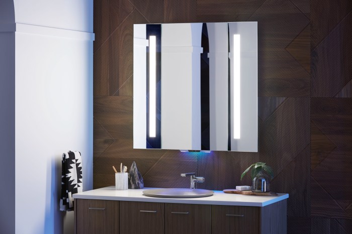 Kohler konnect verdera voice lighted mirror