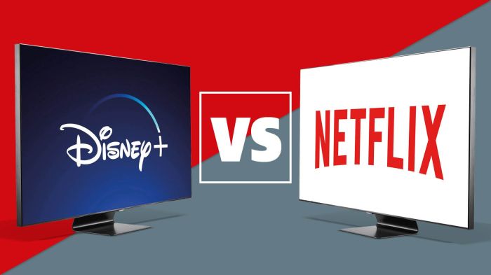 Disney streaming service cheaper netflix