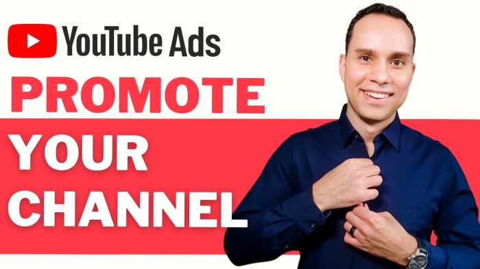 Youtube confirms plans for ad free subscription based service