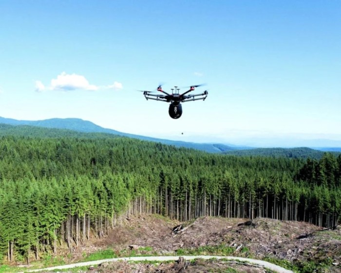 Drones harnessed to plant trees