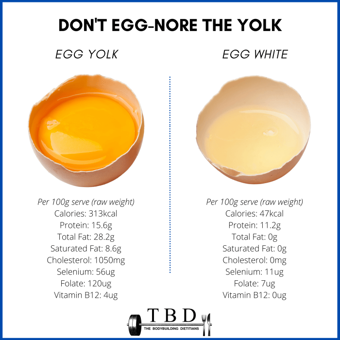 Yolk app