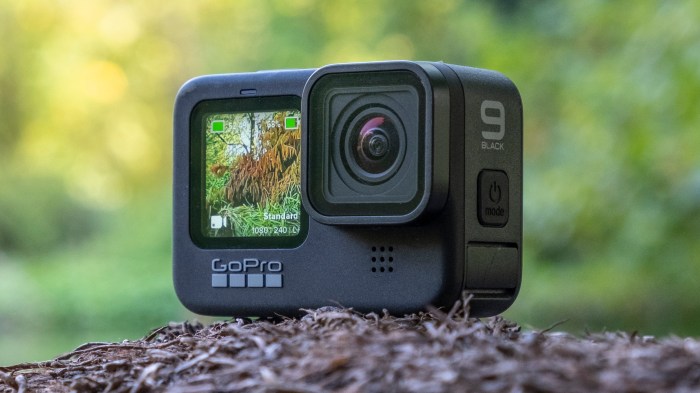 New entry level gopro camera next year