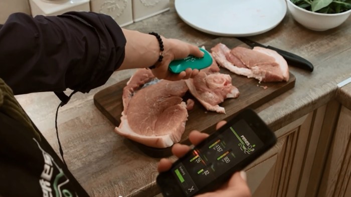 Sensor capable of detecting spoiled meat