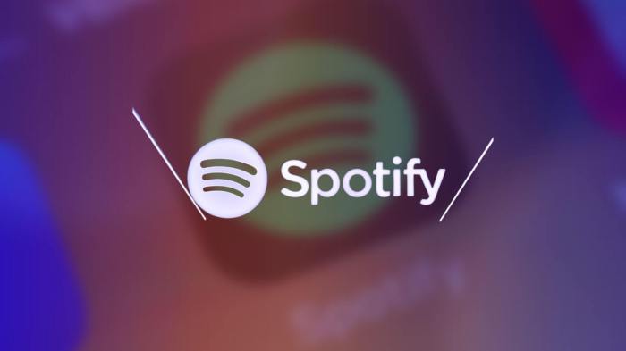 Spotify france tax festivals