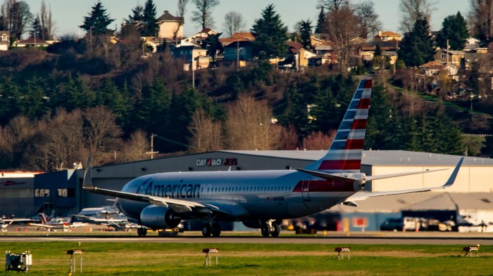 American airlines doesnt have pilots for christmas computer glitch