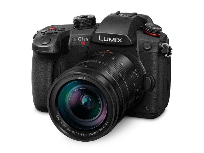 Panasonic lumix gh5s december rumor