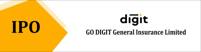 Indian insurance startup go digit raises 141m from anchor investors ahead of ipo