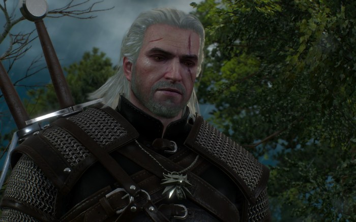 Watch characters beard grow in time in witcher 3