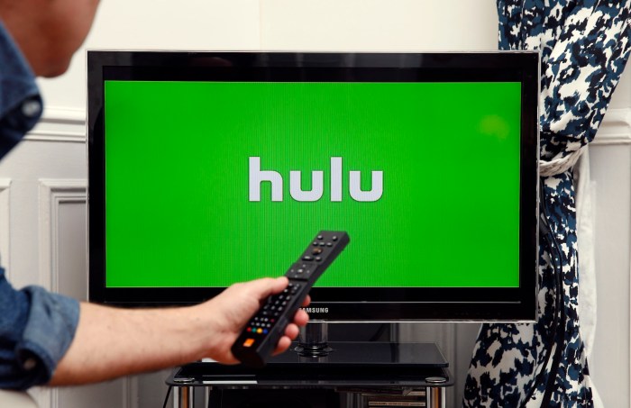 Hulu first major streaming service for nintendo switch