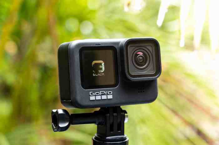 New entry level gopro camera next year