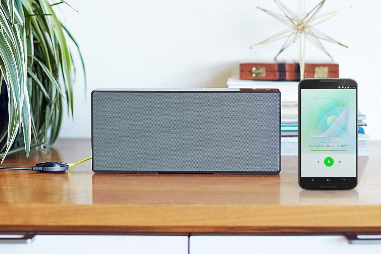 Bno speakers google cast multiroom support