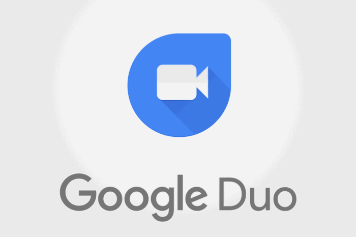 Google duo audio only calls soon