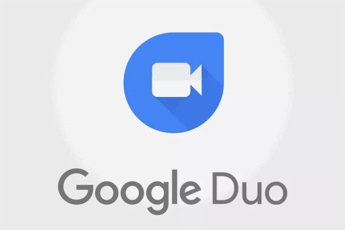 Google duo released for ios android