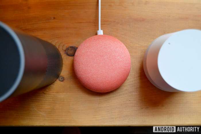 Amazon shipped more smart speakers google