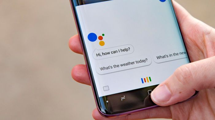 Google assistant local help