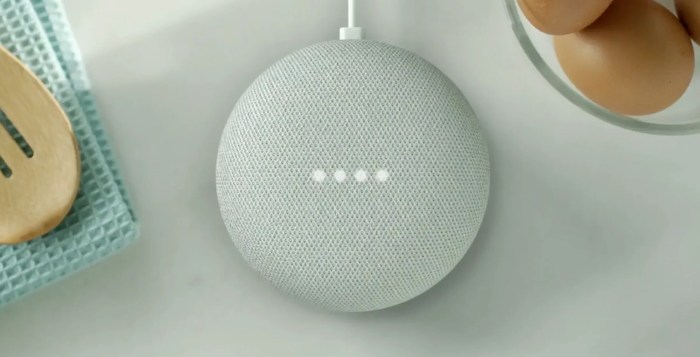 Google home mini cost 29 through december 31st