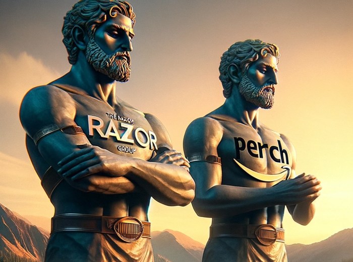 Razor and perch merge raise 100m on a 1 7b valuation as more roll ups consolidate