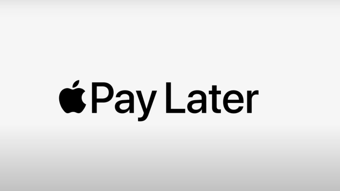 Apple pay later is now available to all users in the us